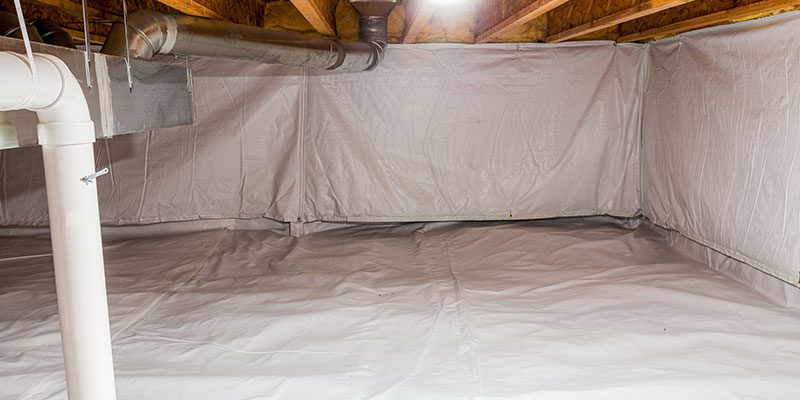 Water Intrusion in Elmvale, Ontario