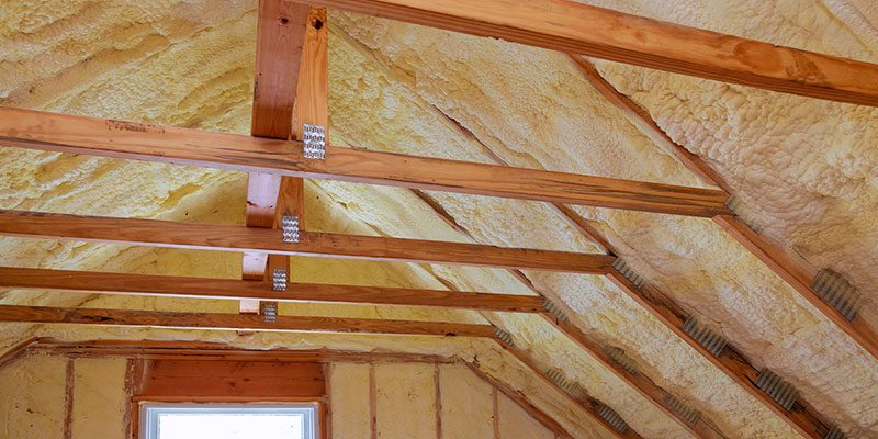 Your Guide to Attic Encapsulation